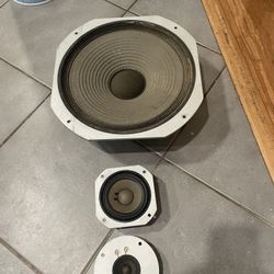 Pioneer. Speak 