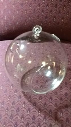 3, 10" Brand New plant globes