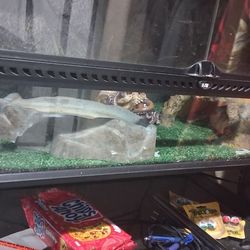 36 Inch Exo Terra Terranium 