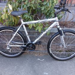 Giant Rincon 2003