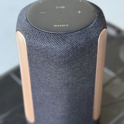 Sony Bluetooth WiFi Speaker Alexa Sony SRS-RA3000 360 Reality