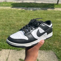 nike dunks low retro 