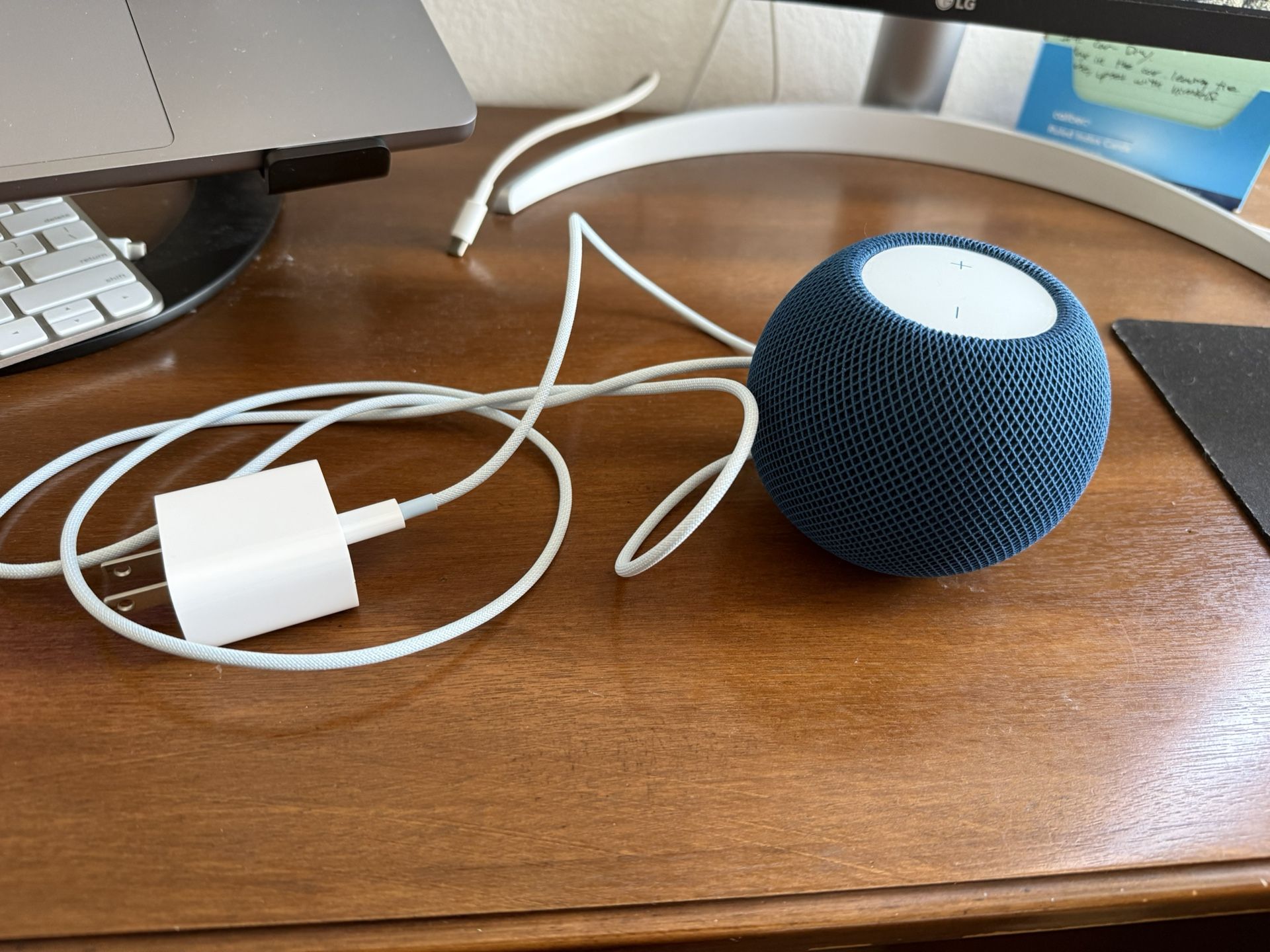 Blue Apple Home POD Mini