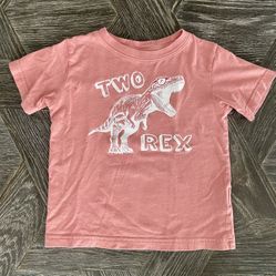 Dinosaur themed 2nd birthday / two year old tee