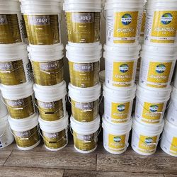 Eggshell Finish Paint
