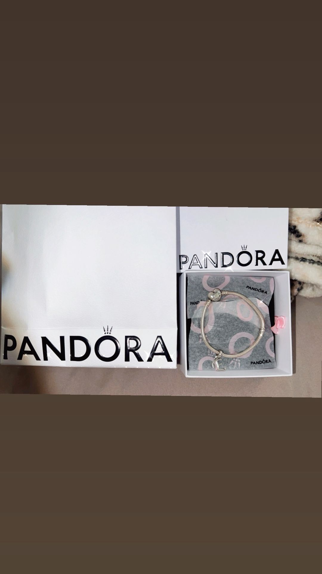 Pandora Charm Bracelet