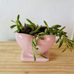 Brand New Pink Heart Vase With String Of Bananas 
