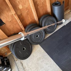 Gym Weights and dumbbells 