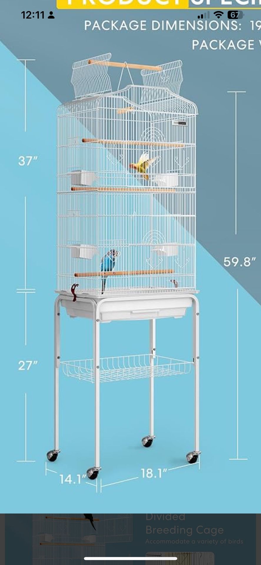 Bird Cage