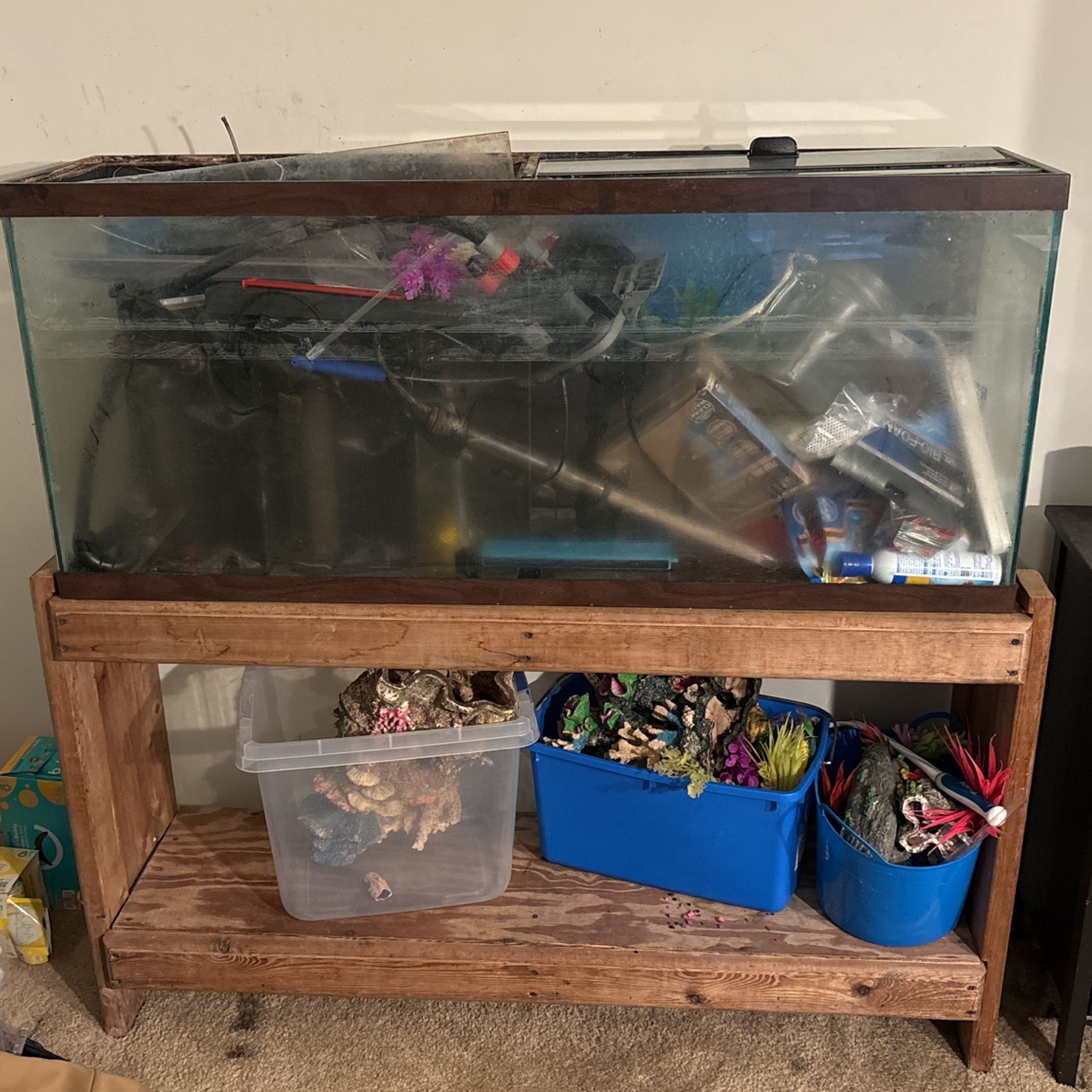 Fish Tank