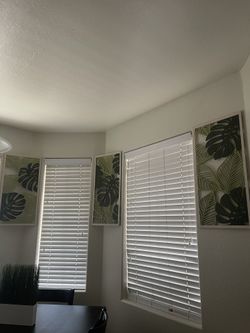 Palm Leaf Pictures