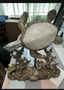Turtle Design, Aquarium Design 