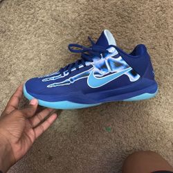 Kobe X-ray 
