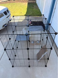 Cat catio