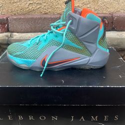 NIKE LEBRON 12