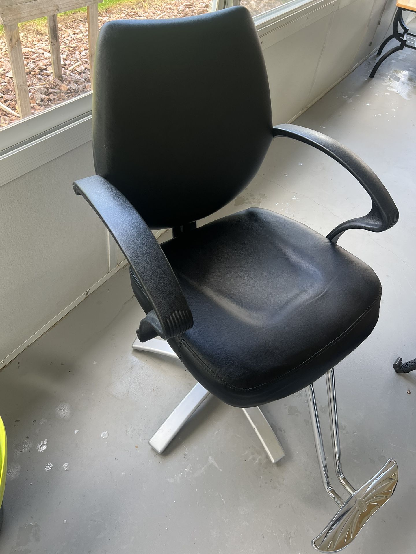 Salon Chair