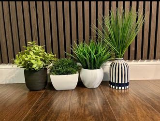 Fake Plants
