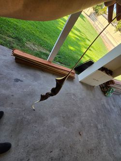 Vintage one piece wooden recurve bow