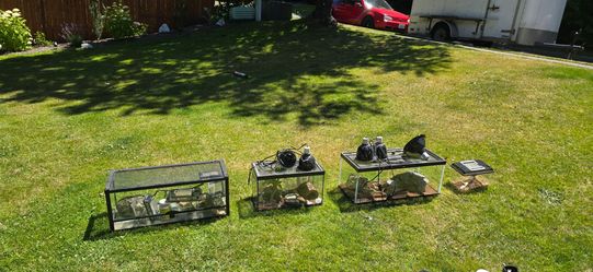 Multiple reptile tanks