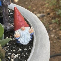 Garden Gnome 