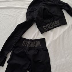 Gym Shark 