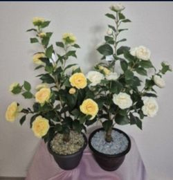 * NEW LOW PRICE * 3ft Faux Yellow & White Camellia Trees Topped with Citrine / Clear Stones in 9in Resin Planters @ Lasting Creations