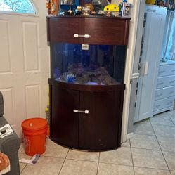 56 Gallon Coner Saltwater Fish Tank
