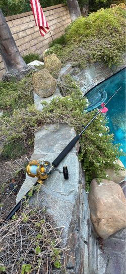 Penn INTERNATIONAL 30TW Gold Reel with PENN INTERNATIONAL ALL ROLLER BIG GAME Rod-GREAT TUNA COMBO
