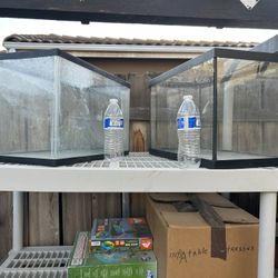 Fish Tank