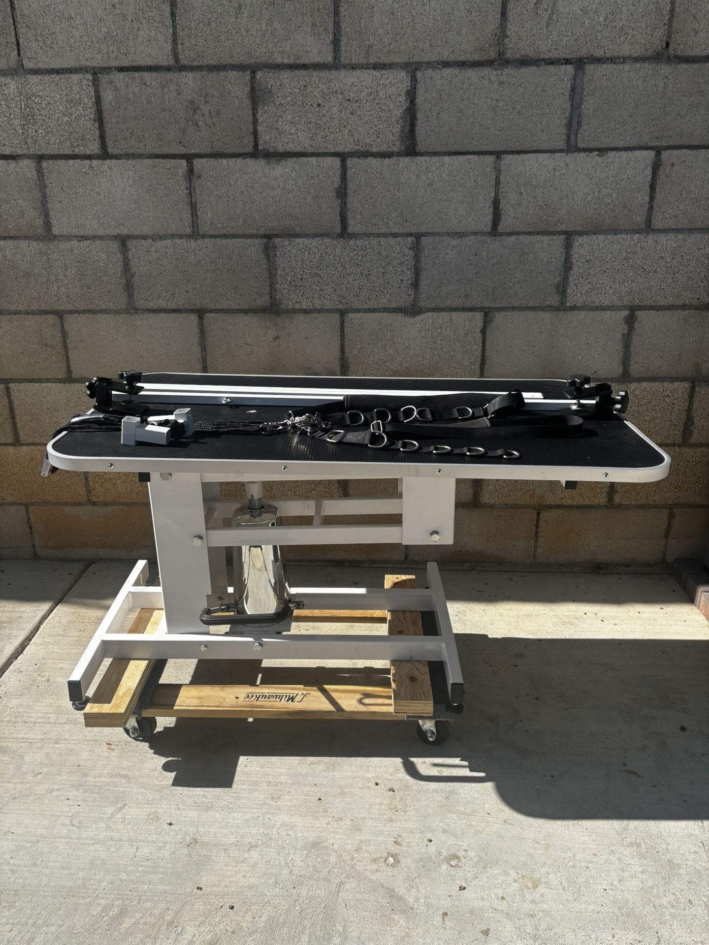 Hydraulic Grooming Table