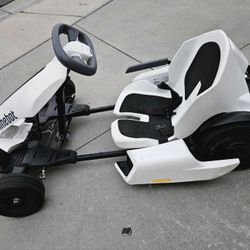SEGWAY GoKart 
