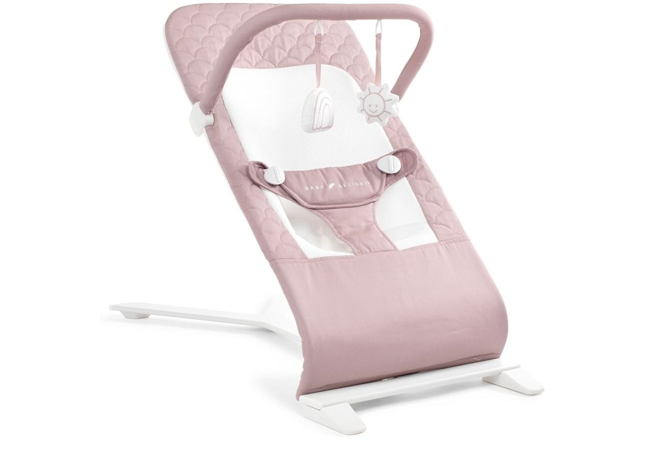 Baby Delight Alpine Deluxe Portable Baby Bouncer | Infant | 0-6 Months