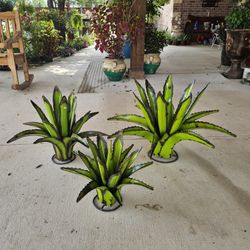 Green Lime Metal Agave Set (Yard Art) ClayPots, Planters,Plants,Pottery
