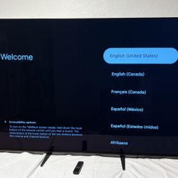 77” SONY TV