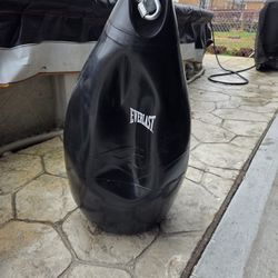 Aqua Punching Bag