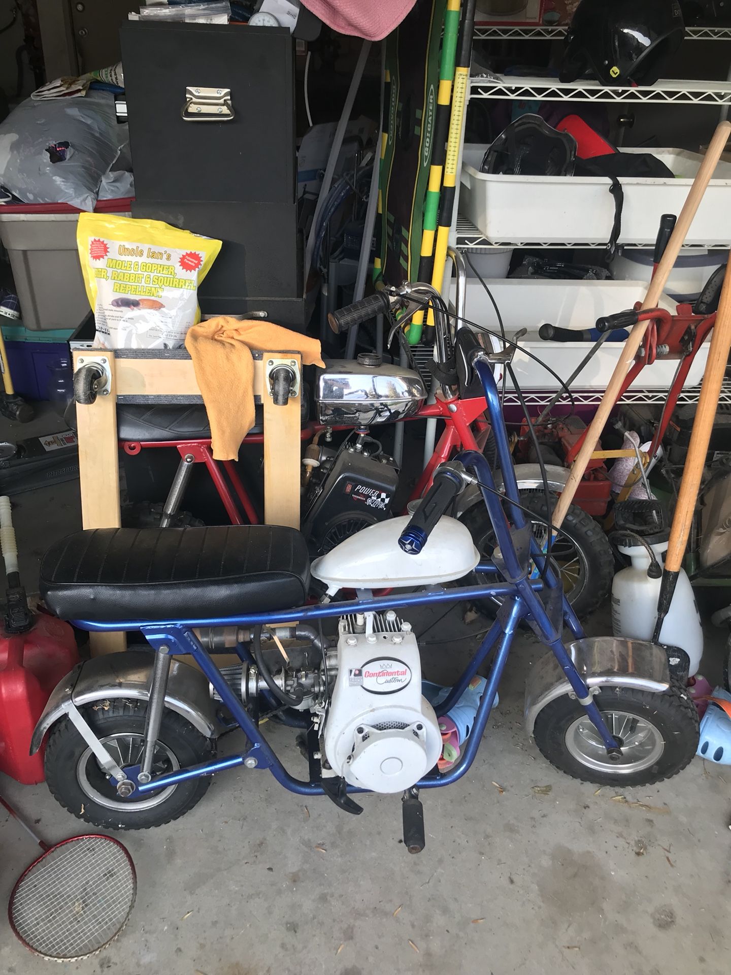 1969 Rupp Continental mini bike