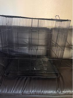 Chinchilla cage