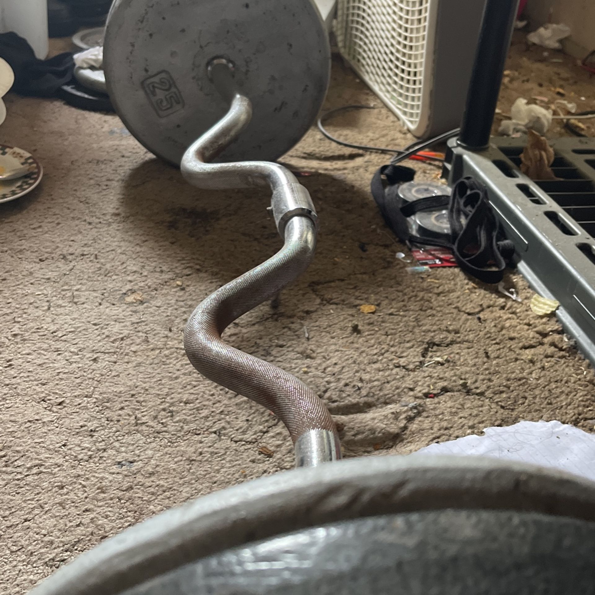 Curl Bar + 100 Pounds 1 Inch Plates