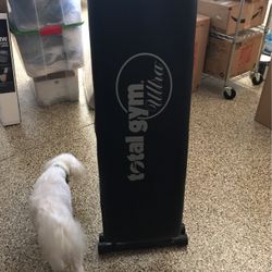 Total Gym..Excellent Condition $65