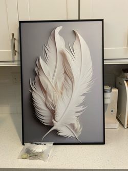 Feather picture