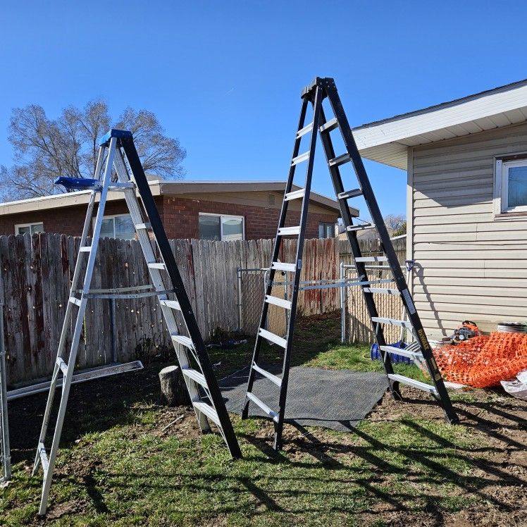 1 Dewalt 10 ft. Ladder & 1  Werner 8 ft. Ladder