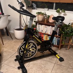 Exercise/spin bike