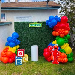 Balloon Decor , Balloon Garland