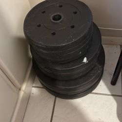 Barbell Weights 100 LBS