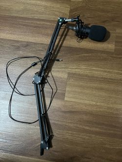 Microphone