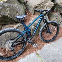 Trek Fuel EX 5 Mountain Bike