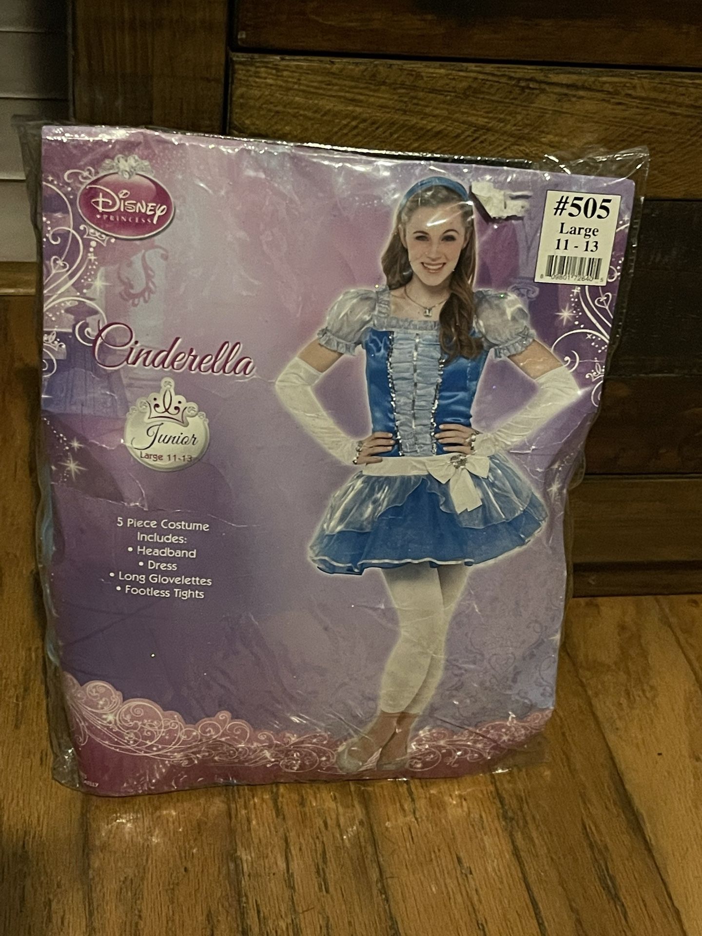 Disney Cinderella Costume 