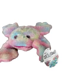 Kelly Toy Rainbow Frog  Stuff Animal