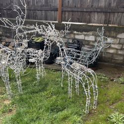 Free Christmas Reindeer 