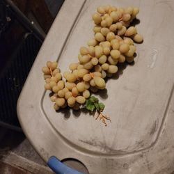 Fake Grapes